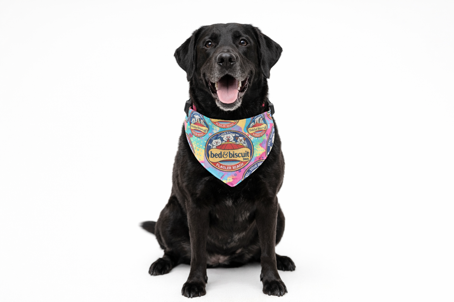 Bed & Biscuit Inn - Pet Bandana Collar - BED & BISCUIT INN