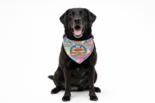 Bed & Biscuit Inn - Pet Bandana Collar - BED & BISCUIT INN